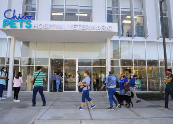 Hospital Veterinario público Chivo Pets brinda sus primeras consultas a las mascotas de los salvadoreños