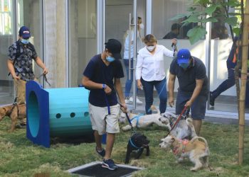 FOTOS | Así es la experiencia de las mascotas en su primera consulta en el hospital veterinario público Chivo Pets
