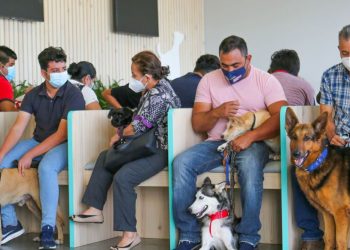 Salvadoreños aprueban la calidad de atención y servicios en Chivo Pets