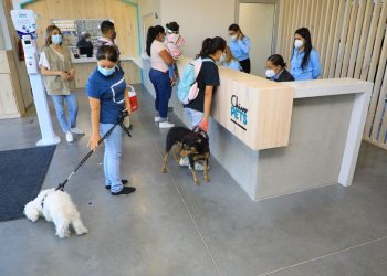 Chivo Pets atendió a cientos de mascotas en su primer día