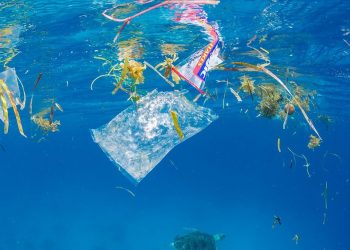 Fondo Mundial para la Naturaleza reporta densidad récord de plásticos en mar Mediterráneo