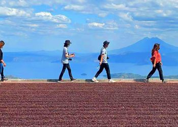 Café de El Salvador llegará al mercado japonés