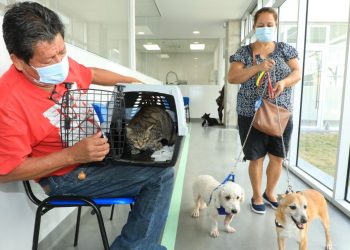 «¡Me quedo sin palabras! Este es un hospital de primer nivel», José Henríquez, usuario de Chivo Pets