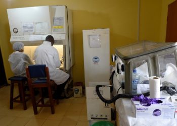 Se registran 112 muertos por fiebre Lassa en Nigeria