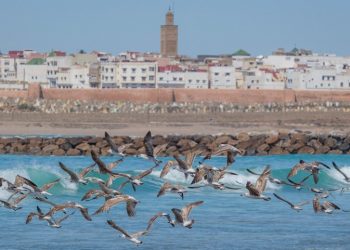 Foro FOMAL 2022 entre Marruecos y América Latina busca fortalecer lazos entre ambas regiones