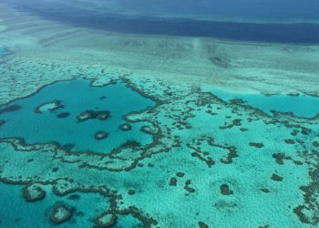 La Gran Barrera de Coral de Australia sufre un «blanqueamiento masivo»