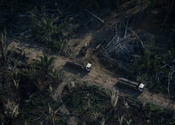 Deforestación de la Amazonía brasileña marca nuevo récord para febrero