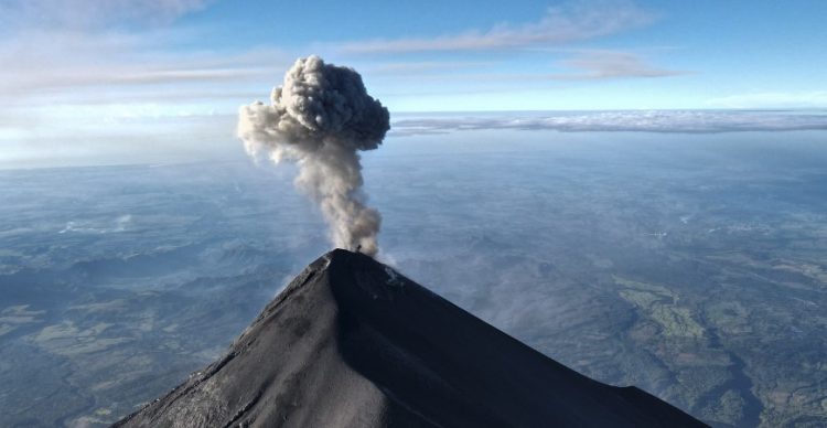 Foto: AFP/Archivo