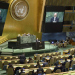 Asamblea General de ONU designa 15 de marzo como Día Internacional de Combate a Islamofobia
