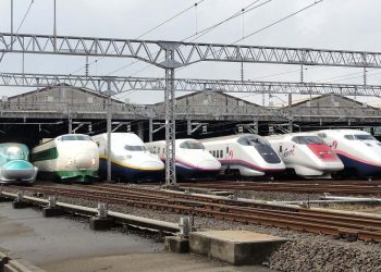 Pasión por los trenes puede causar comportamientos extremos en Japón