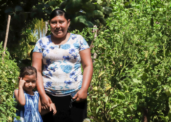 Programa «Sembrando Vida» beneficia a más de 10 mil familias mejorando su economía