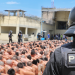 Fotos: Así se desarrollaron los operativos en los diferentes Centros Penales