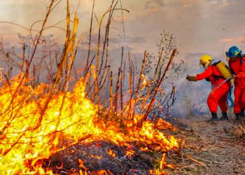 Decreto que respalda Estado de Emergencia Nacional por incendios ya está publicado en el Diario Nacional