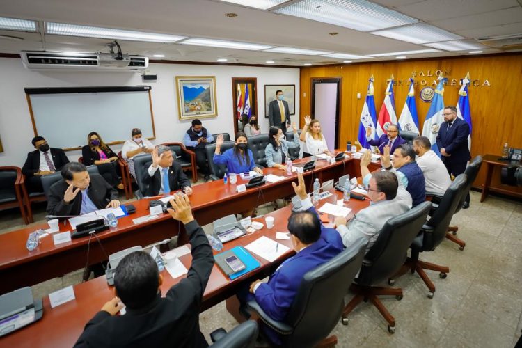 La comisión Política de la Asamblea Legislativa dio a conocer los nombres de los candidatos a presidente del TEG.