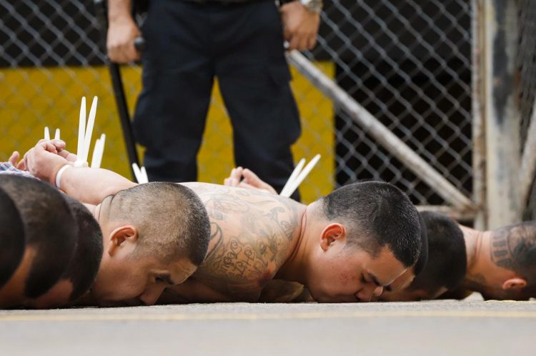 Foto / @PresidenciaSV