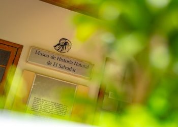 Compre en línea las entradas a espacios del Ministerio de Cultura
