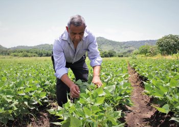 El MAG lanza registro único de productores agroalimentarios