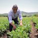 El MAG lanza registro único de productores agroalimentarios