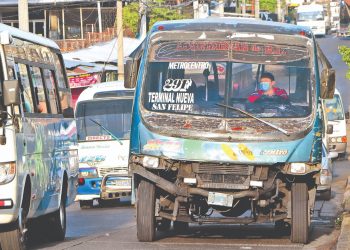 Las anteriores legislaturas favorecieron a los empresarios del sector transporte