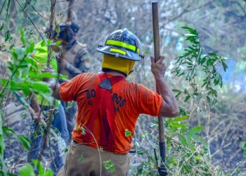 Cuerpo de Bomberos controla incendio en maleza seca en cerro San Jacinto