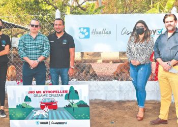 Alcaldía de Zaragoza lanza campaña para proteger a mascotas