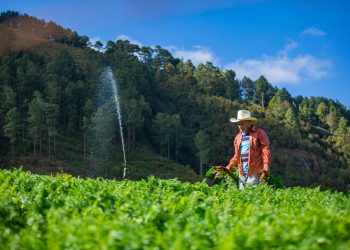 Agricultura beneficiará a 20,000 productores con reformas a Fideagro
