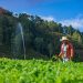 Agricultura beneficiará a 20,000 productores con reformas a Fideagro