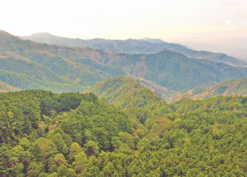 Plan Trifinio está listo para conectar a El Salvador, Guatemala y Honduras