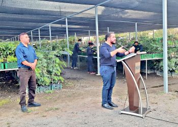 Vivero MOP Verde, en La Paz, producirá un millón de árboles y plantas