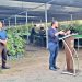 Vivero MOP Verde, en La Paz, producirá un millón de árboles y plantas
