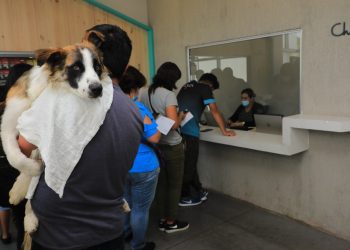 El Hospital Chivo Pets supera las 9,000 atenciones en su primer mes de funcionamiento