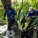 Inicia la limpieza de quebradas en San Vicente