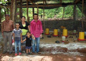 Familias se lanzan al emprendimiento agropecuario