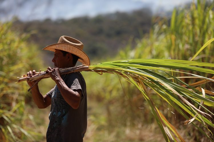 Foto: Diario El Salvador