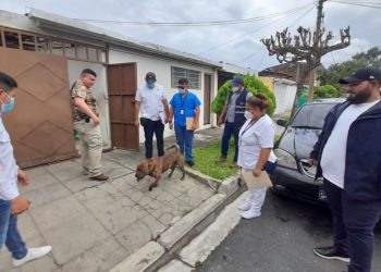 Unidad de Bienestar Animal investigará ataque de perro a anciana en San Salvador