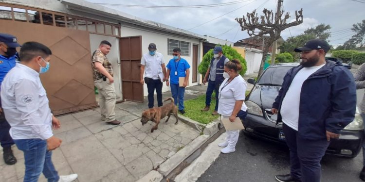 Unidad de Bienestar Animal investigará ataque de perro a anciana en San