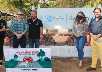 Alcaldía de Zaragoza lanza campaña municipal «No me atropelles, déjame cruzar»
