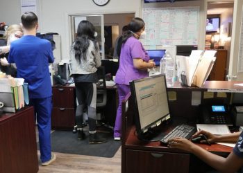 Mujeres de Texas forzadas a viajar fuera de su estado y a esperar semanas para abortar
