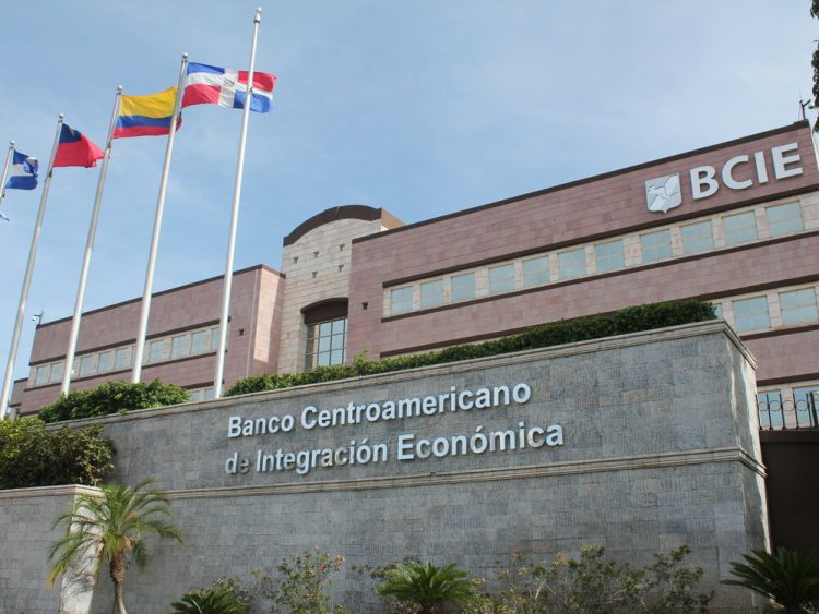 Foto / Cortesía.