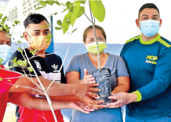 El vivero del MOP Verde entregó 5,700 árboles para reforestación