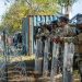 Experta descarta «invasión migratoria» en la frontera de EE. UU.
