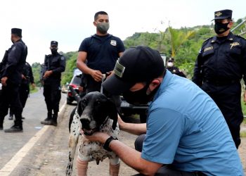 Muere Furst, el héroe canino policial de rescate