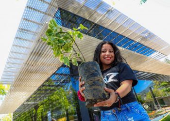 Dirección de Reconstrucción de Tejido Social entrega 1,000 árboles en CUBO Zacamil
