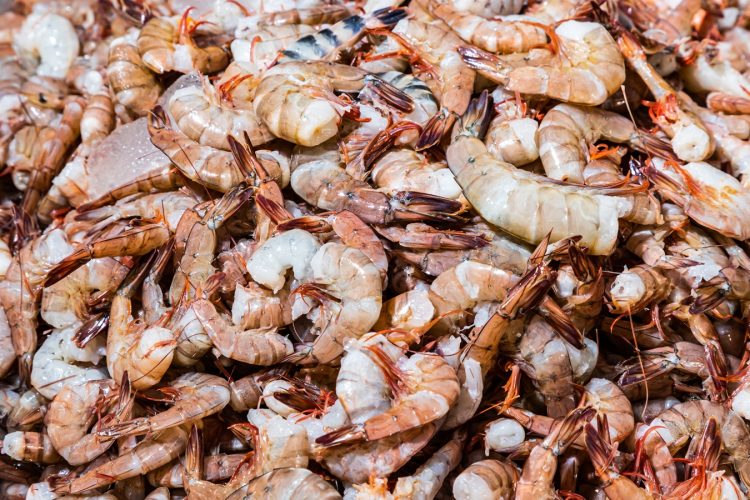 La veda se realizará del 2 al 31 de mayo.  Foto / Diario El Salvador.