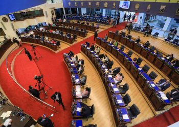 ARENA votó en contra de ampliar la lista de delitos a pandilleros
