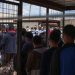 El Título 42 cuadruplicó los cruces irregulares en la frontera de EE. UU.