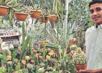 La colección de más de un millón de cactus en El Salvador