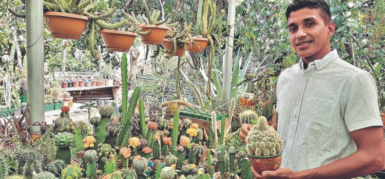 Antes tenía sus cactus junto al jardín general, pero luego supo que debía darles su lugar. FOTO: Mirna Velásquez.