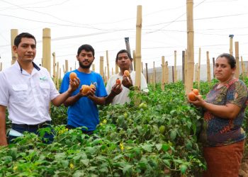Los Quintanilla, la familia usuluteca, que pasó del café al mundo de las hortalizas