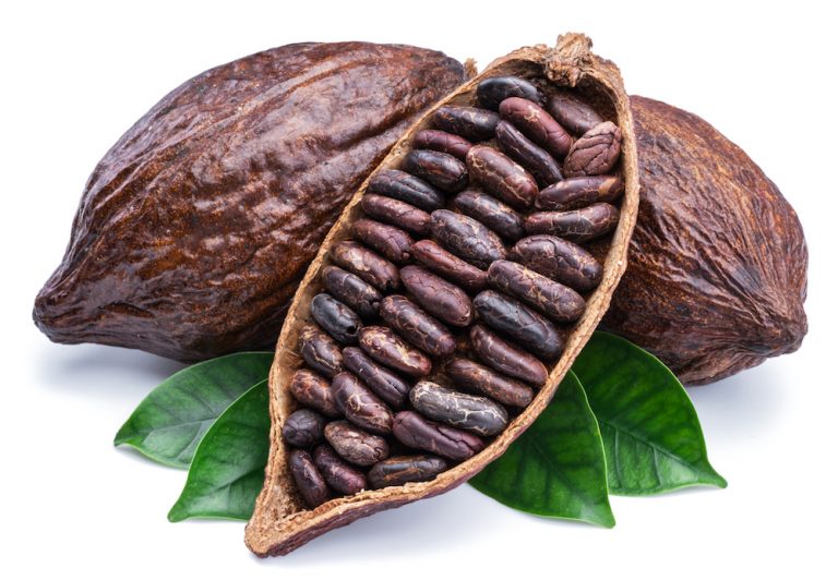 Cocoa pods and cocoa beans – chocolate basis. | Diario El Salvador